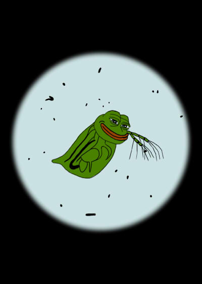 DAPHNIAPEPE