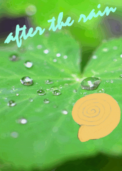 FTERTHERAIN