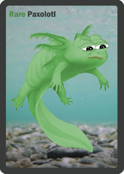 PAXOLOTL